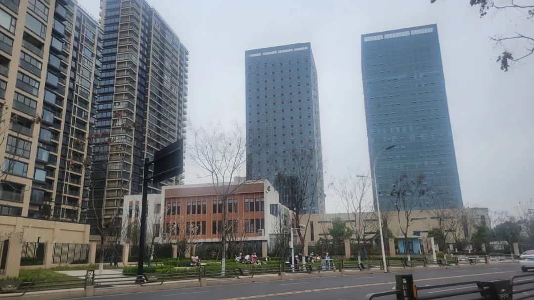 1731314805538080.jpg 1731314799502.jpg